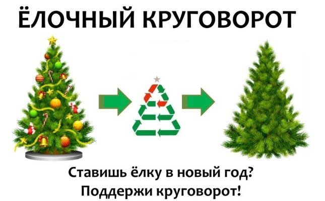 "Ёлочный круговорот". "Ёлочный круговорот".