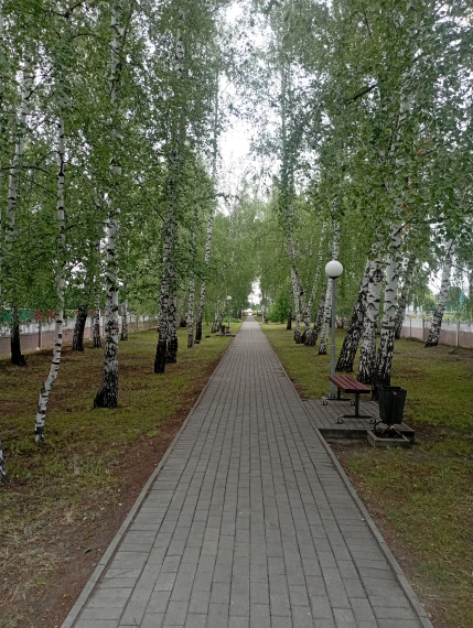 Финал конкурса. Финал конкурса.